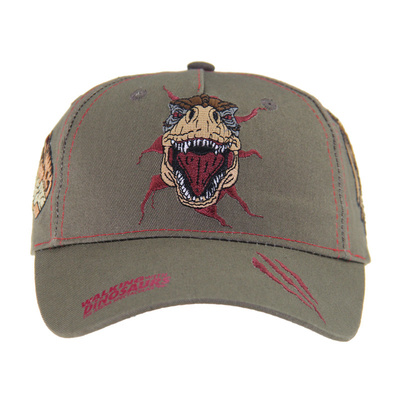 Customized Dragon Embriodery Baseball Caps, Low Profile Kids Adjustable Cotton Outdoor Caps