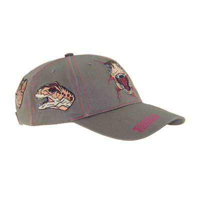 Customized Dragon Embriodery Baseball Caps, Low Profile Kids Adjustable Cotton Outdoor Caps